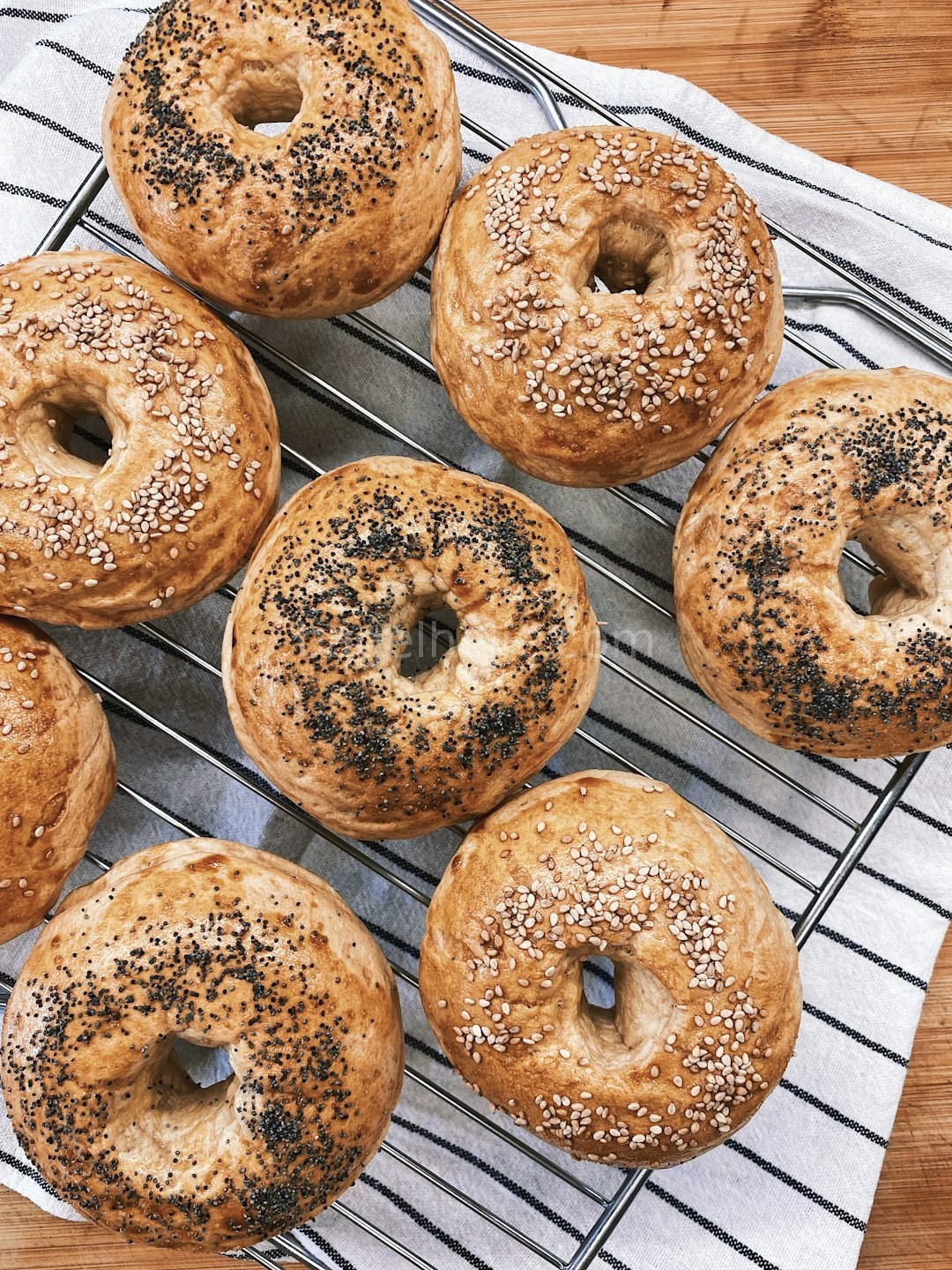 Bagel 3